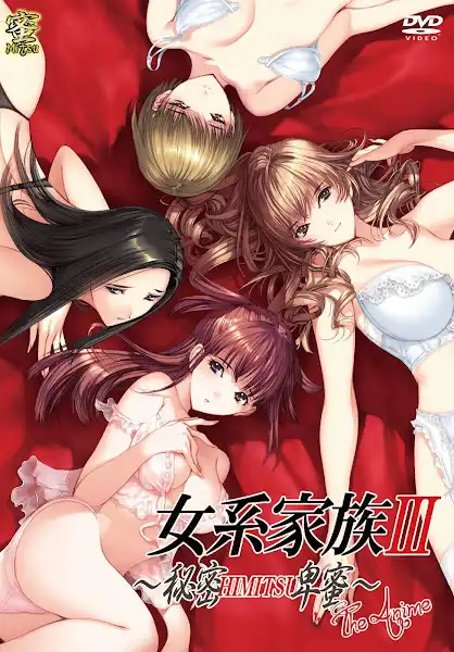 Jokei Kazoku III: Himitsu